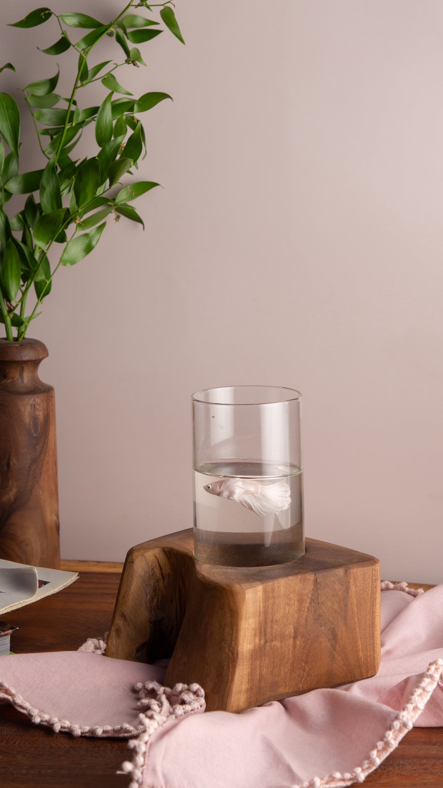 حوض السمك 031